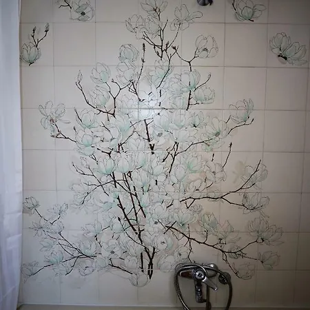 Sunhouse-ch 하니아